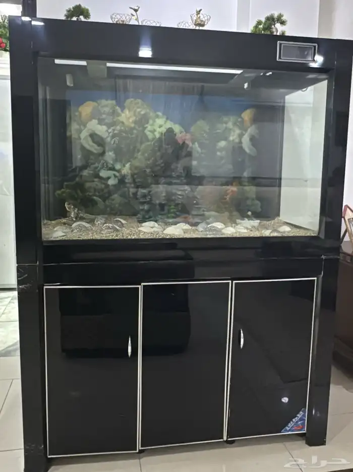 حوض سمك للبيع 0