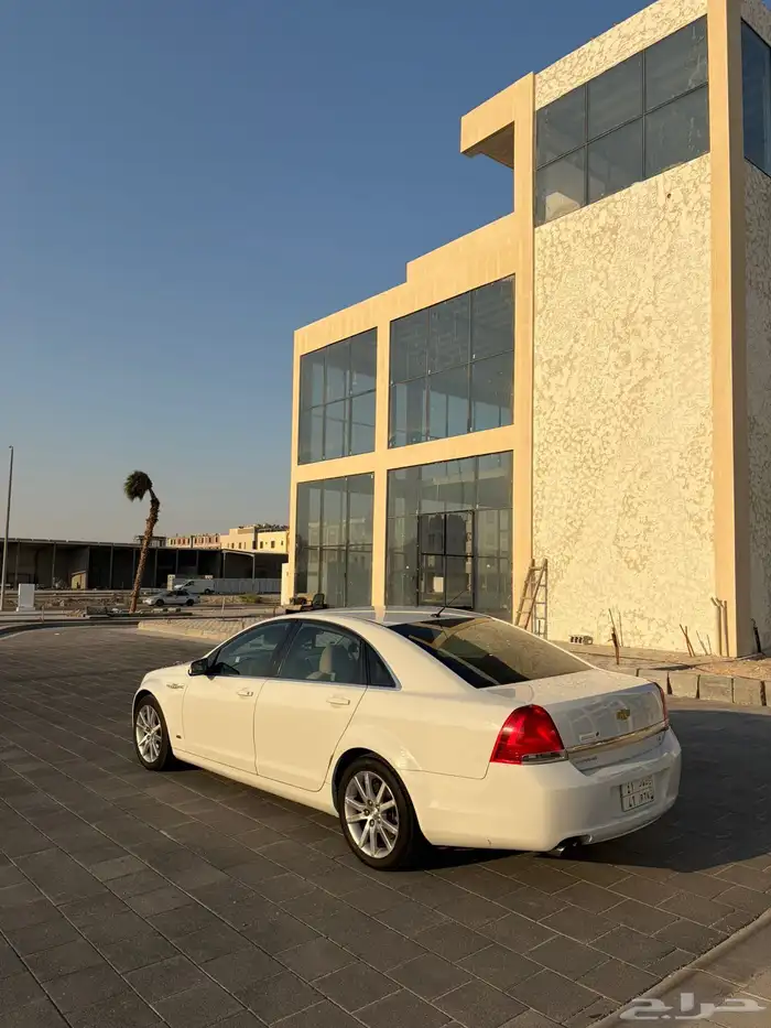 كابرس للبيع 0