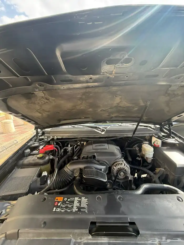 تاهو 2013 قصير 8