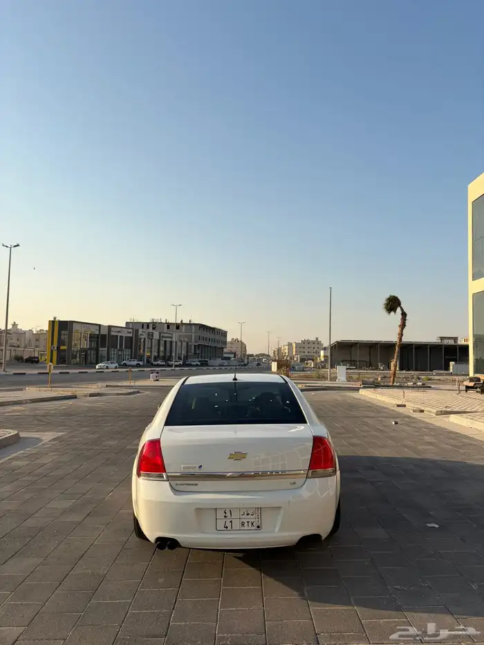 كابرس للبيع 1