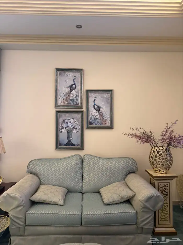 مجلس للبيع (متاح البيع بالتجزئة) 5