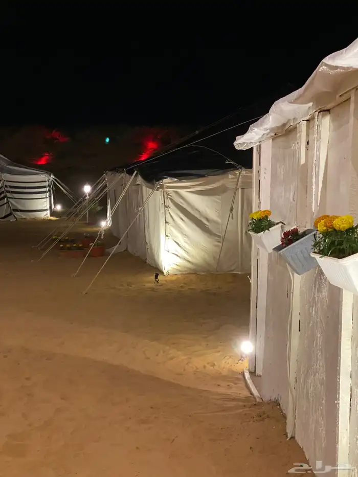 مخيم ليالي الصحراء VIP القصيم  البكيريه الخبراء 18