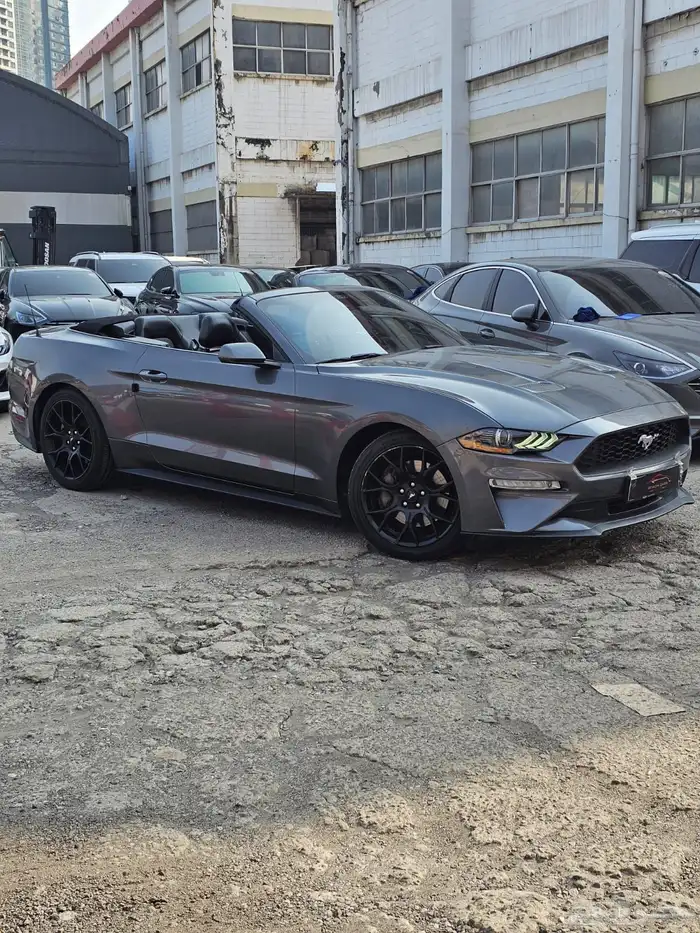 موستنج 2021 كشف 0