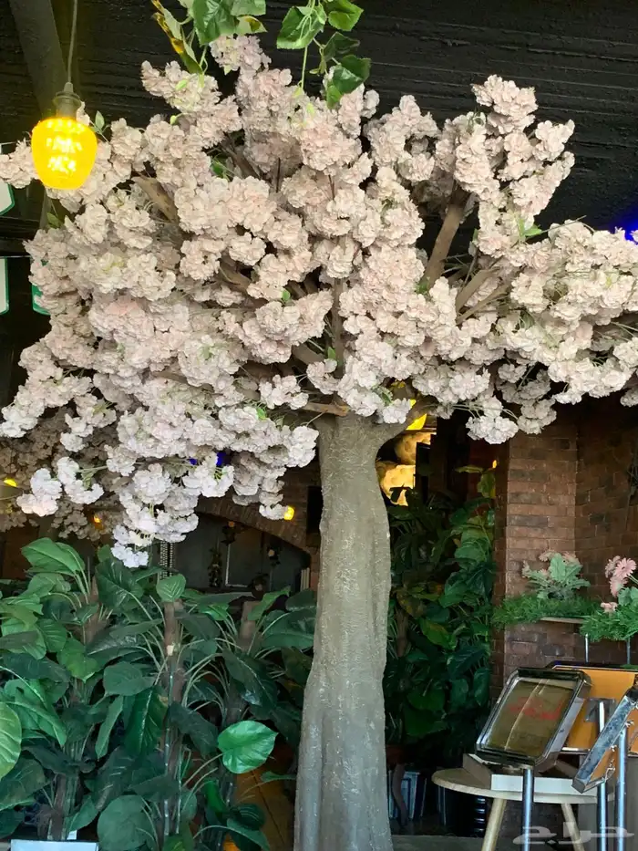 خميس مشيط حي نعمان جوار القاعده الجويه 27