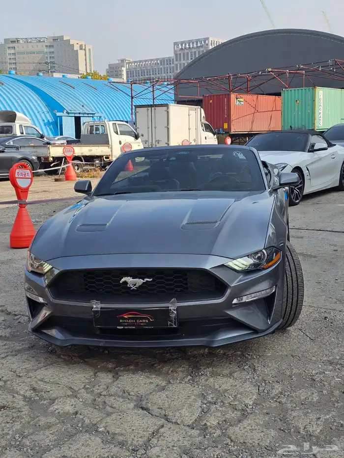 موستنج 2021 كشف 1