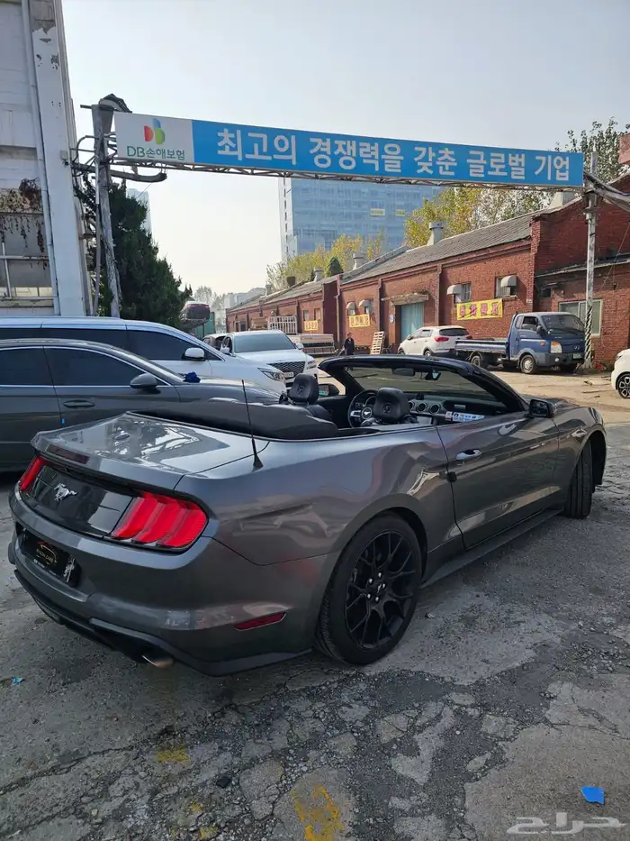 موستنج 2021 كشف 3