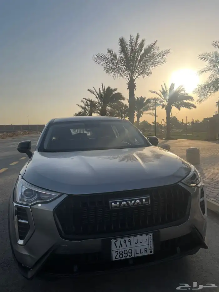 للبيع جوليان 2025 3