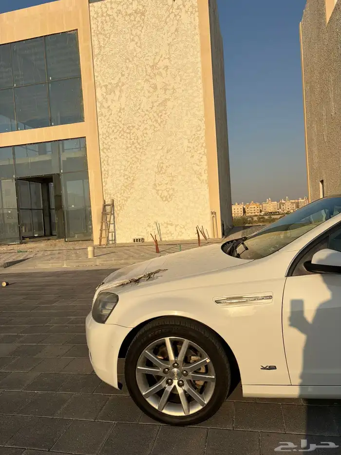 كابرس للبيع 10