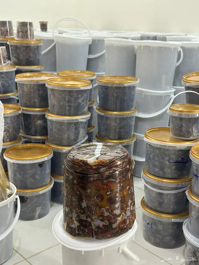 تمور للبيع 5