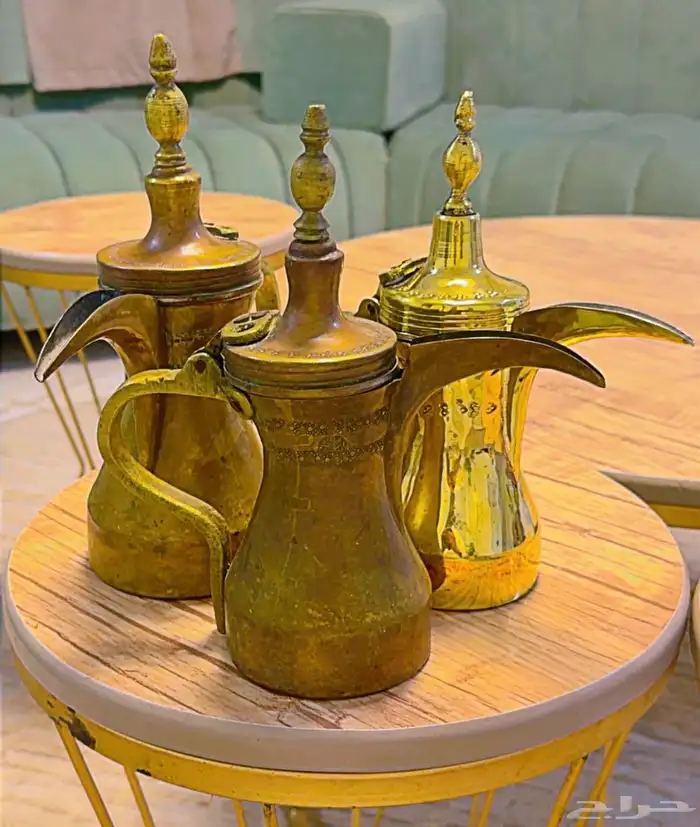 دلال قرشيه 1