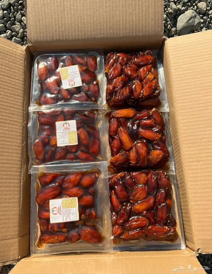 تمر صفري بيشة 0