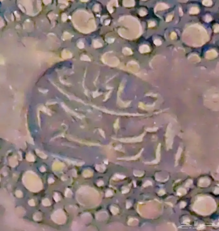 دلال قرشيه 18