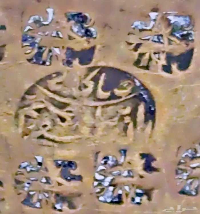 دلال قرشيه 20