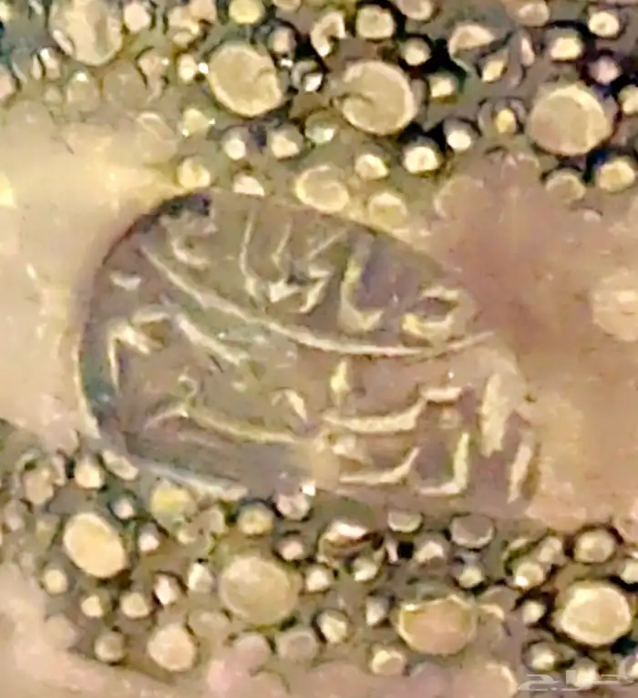 دلال قرشيه 17