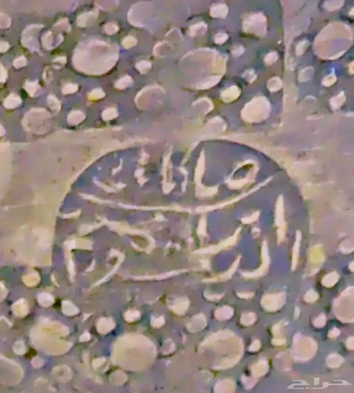 دلال قرشيه 19