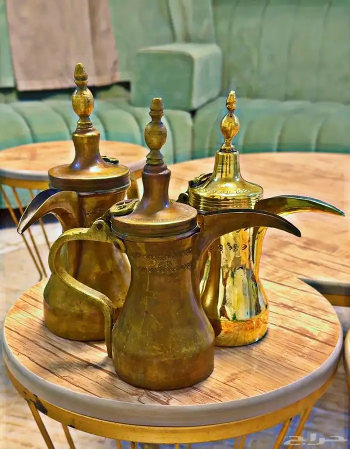 دلال قرشيه 0