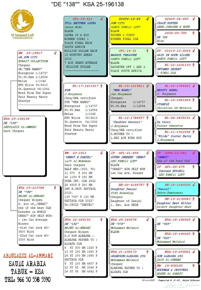 حمام زاجل سباق 12