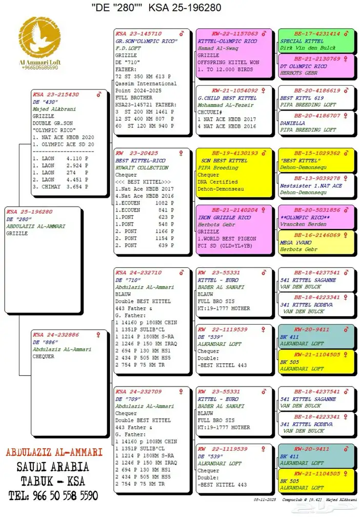 حمام زاجل سباق 7
