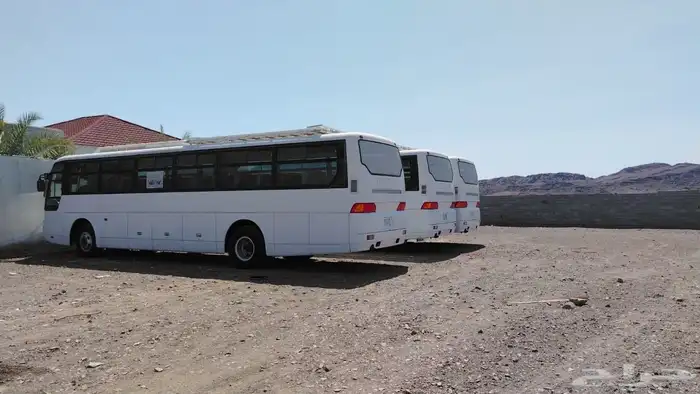 حافلات باصات لتأجير 0