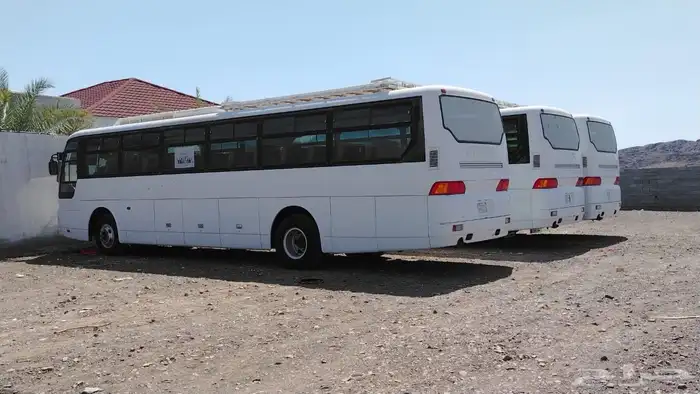 حافلات باصات لتأجير 1