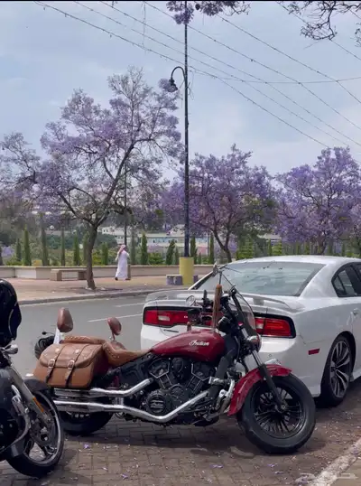 دباب انديان سكاوت سيكستي Indian scout sixty index