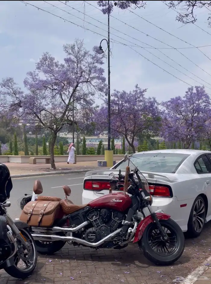 دباب انديان سكاوت سيكستي Indian scout sixty 2