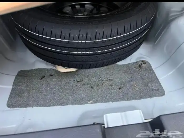 أكورد city 2024 أبيض LX Sport 8