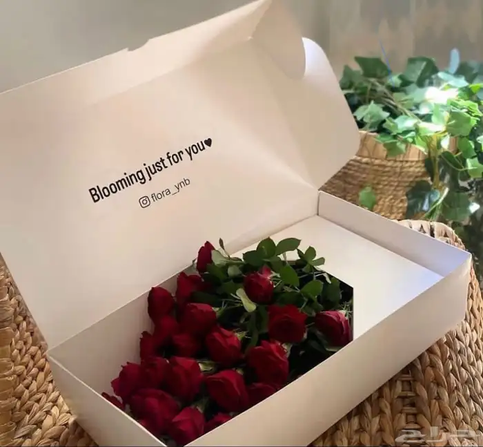 طباعة بوكسات أكياس كروت 10