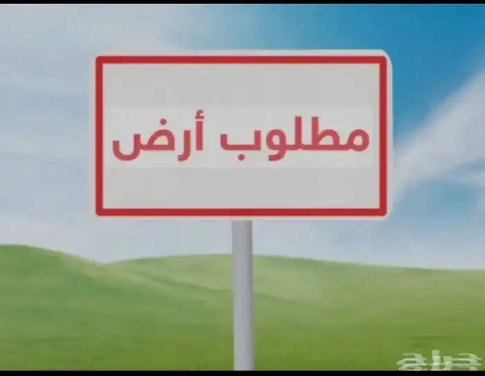 مطلوب ارض في حي النهضه من المالك مباشره 0