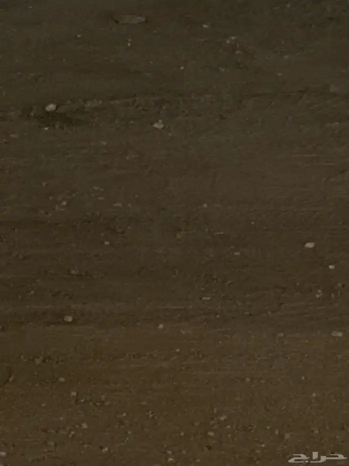 قط اسود ضايع بالرمال الي يحصله يكلمني ضروري 0