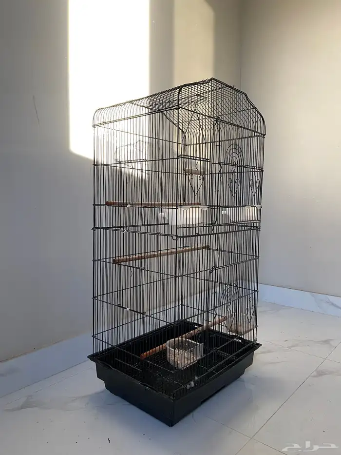 قفص ببغاء 2