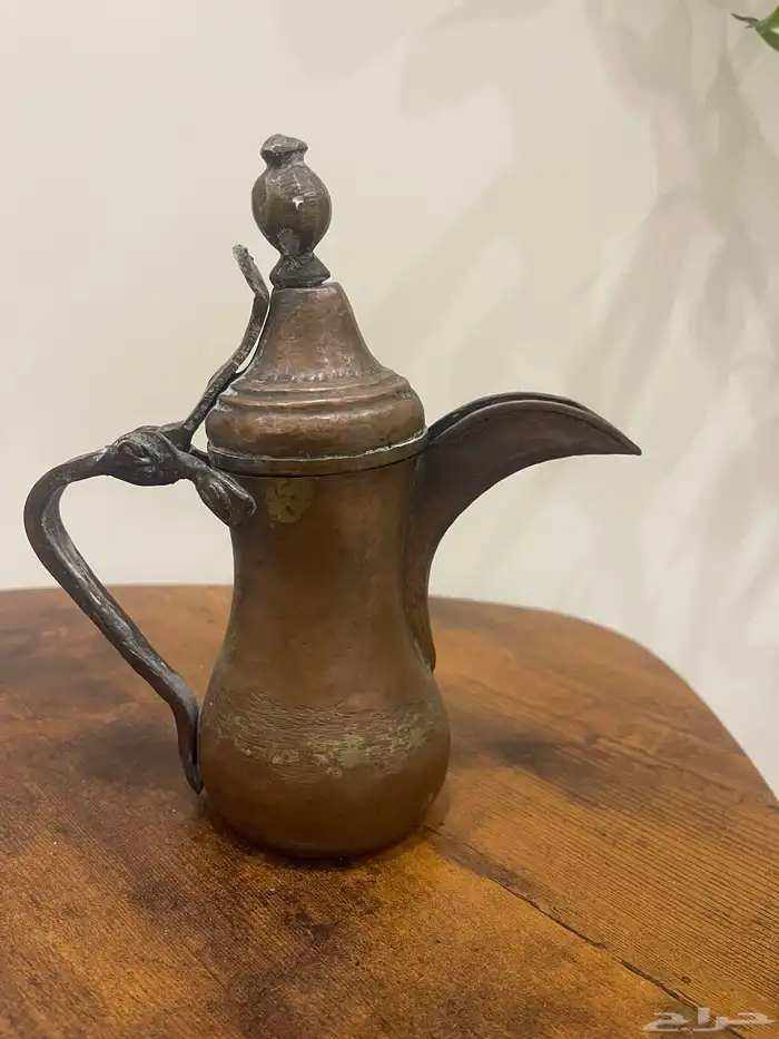 دله بغداديه صغيره جدا 3