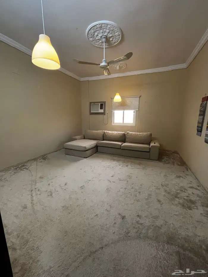 موكيت نظيفة 0