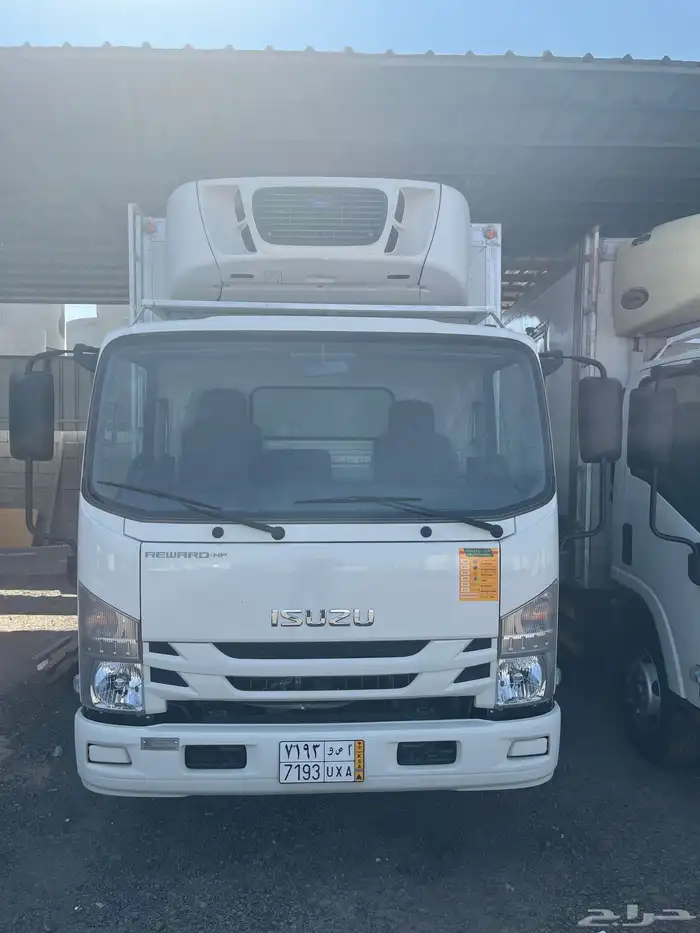 المدينة المنورة 1