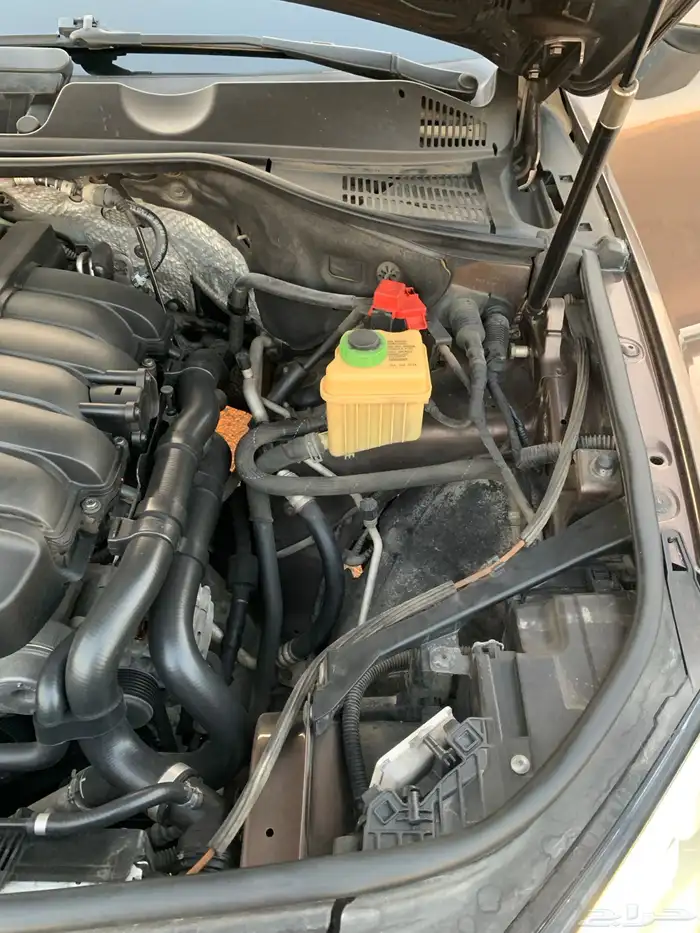 طوارق فل كامل دبل بنورما 22