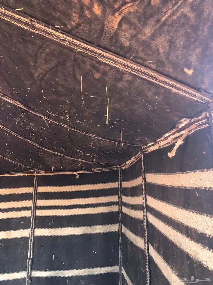 بيت شعر 5 11 تقريب ا 3