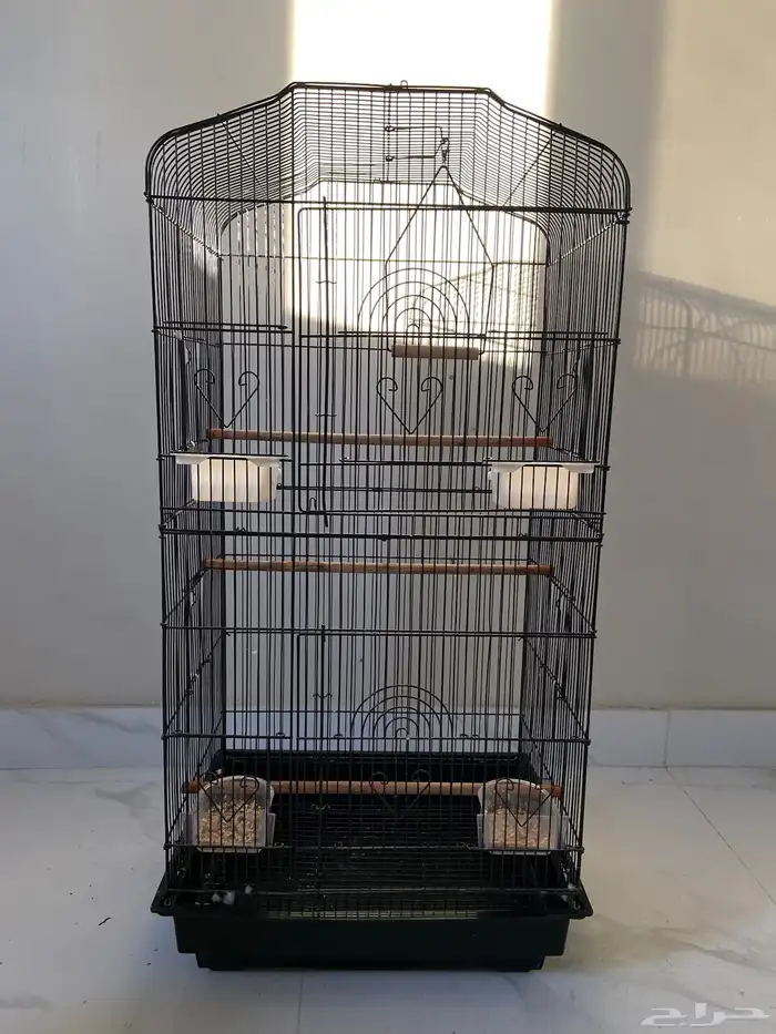 قفص ببغاء 1
