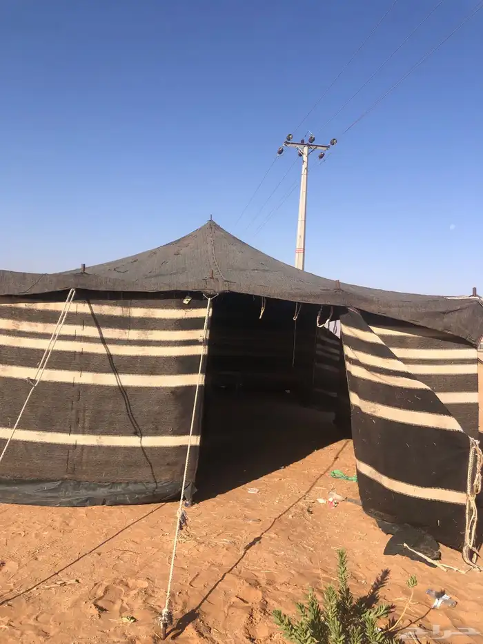 بيت شعر 5 11 تقريب ا 7