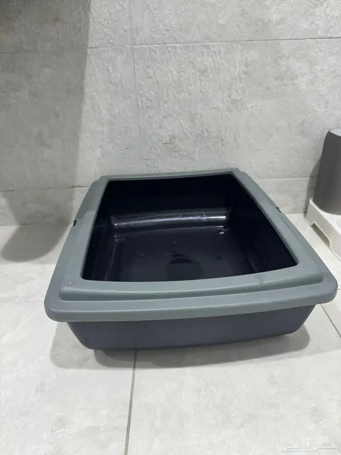 قطه هيميلايا و جميع المستلزمات 4