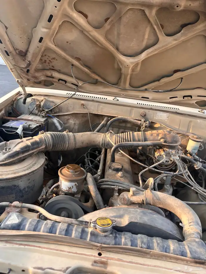 جيب ربع 1986 20