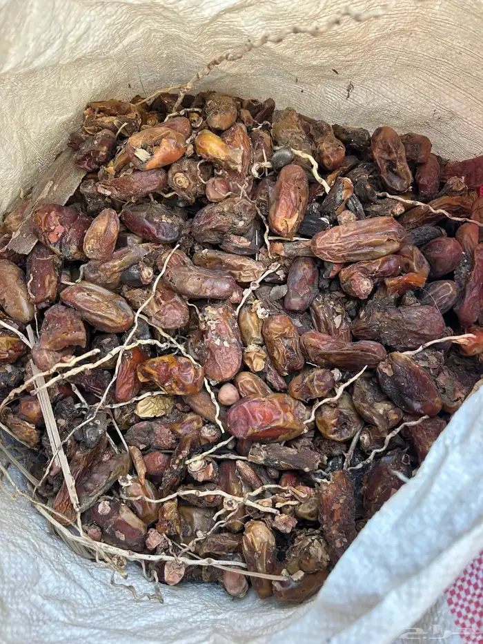 تمر حلال للبيع 0