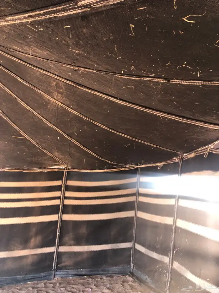 بيت شعر 5 11 تقريب ا 0