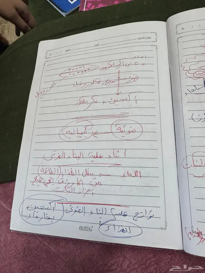 مدرسه خصوصيه ف خميس مشيط 9