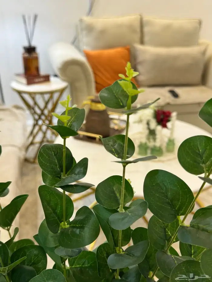 طاوله تلفاز رخام وطاوله قهوه و2 جانبيه 2