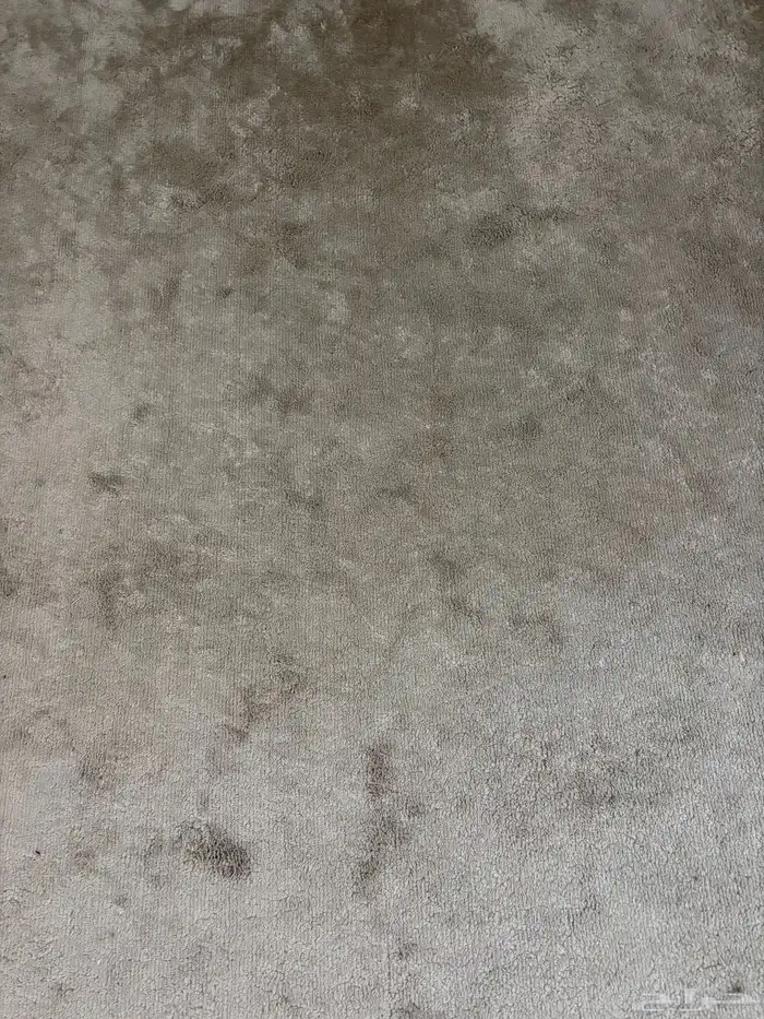 موكيت نظيفة 1