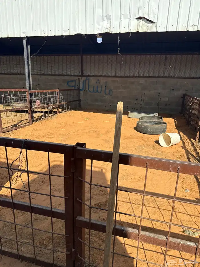 حظائر للإيجار 0