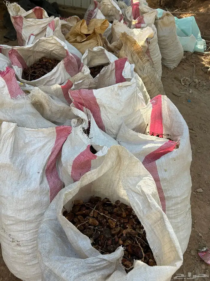 تمر حلال للبيع 1