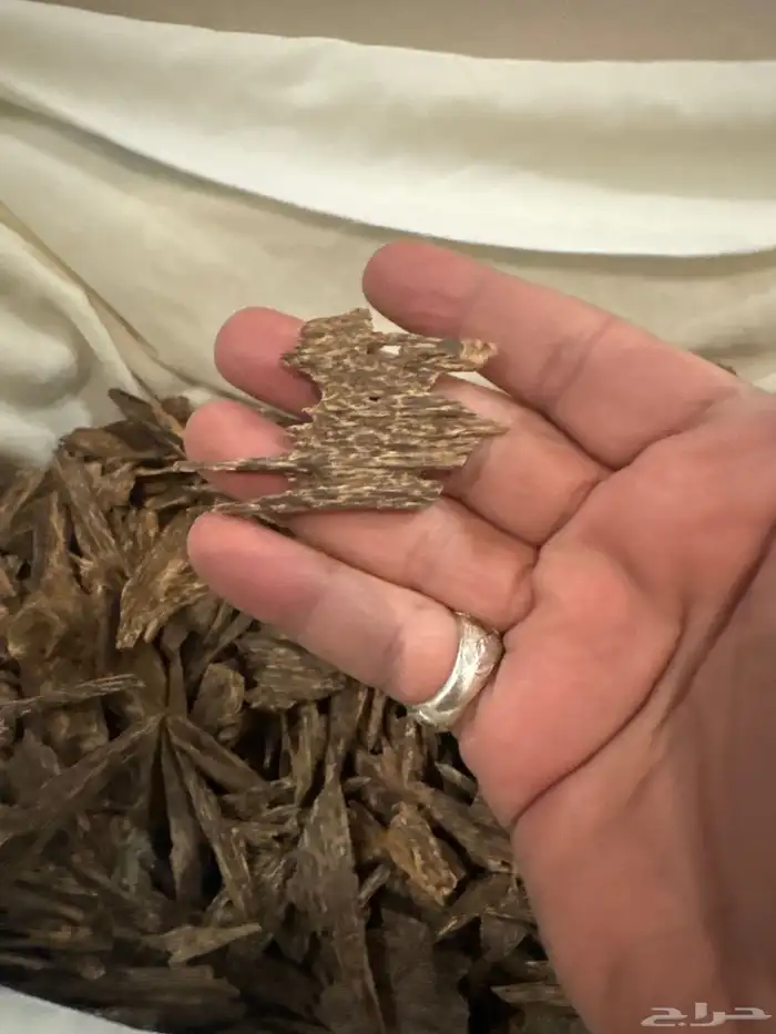 عود كاليمنتان بونتيانك طبيعي 100   100 3