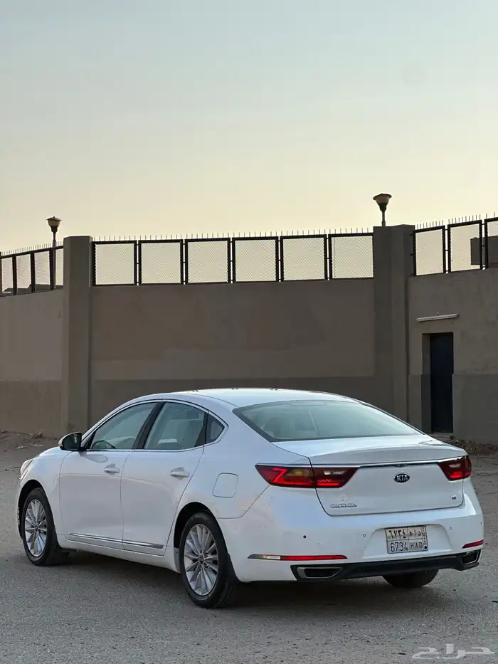 كادينزا 2017 2