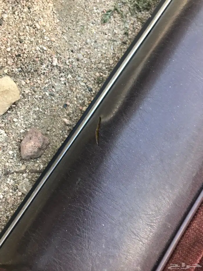 للبيع طقم ديكورات ابواب كرسيدا وكاله 4 طقم XL 4